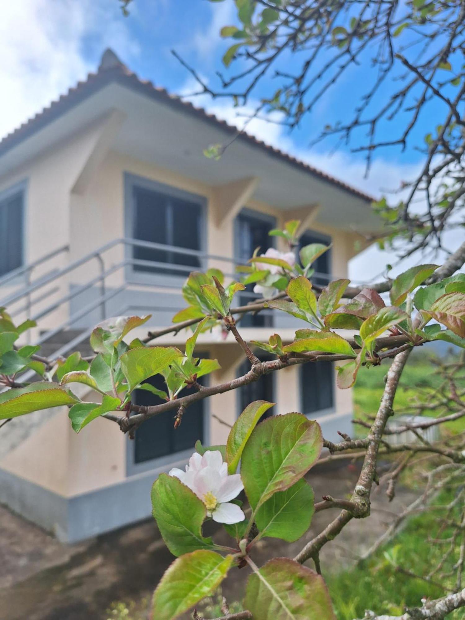 Villa Correia - Ribeiro Frio São Roque do Faial Exterior foto